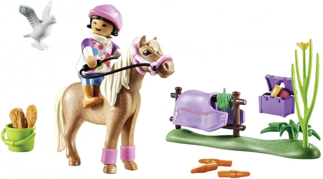 PLAYMOBIL® Country 70514 Islandzki kucyk kolekcjonerski