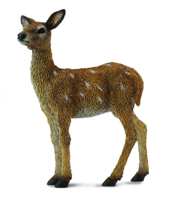 Sarna leśna