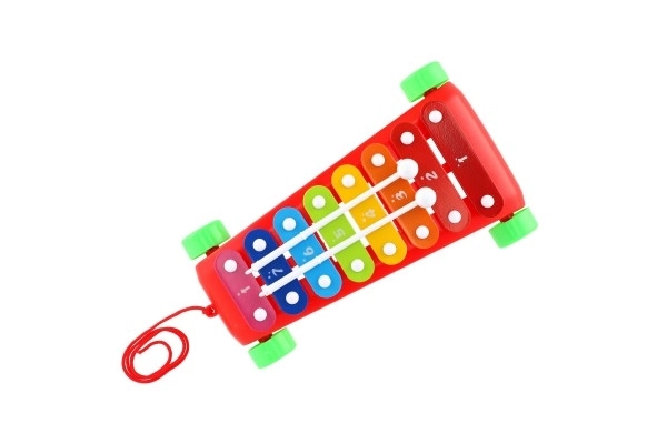 Ksylophon plastikowy/metalowy 24 cm z pałeczkami 2 kolory w woreczku 19x31x6 cm