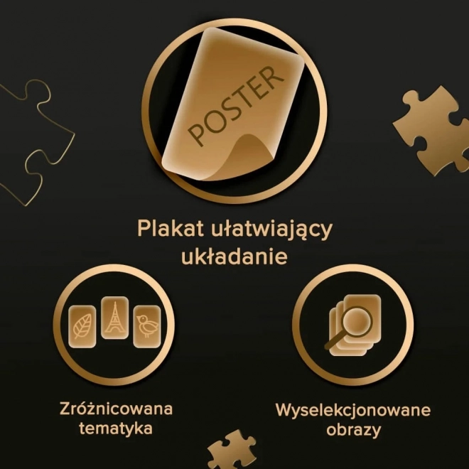 TREFL Puzzle Premium Plus Photo Odyssey: Zamek Neuschwanstein 1000 elementów