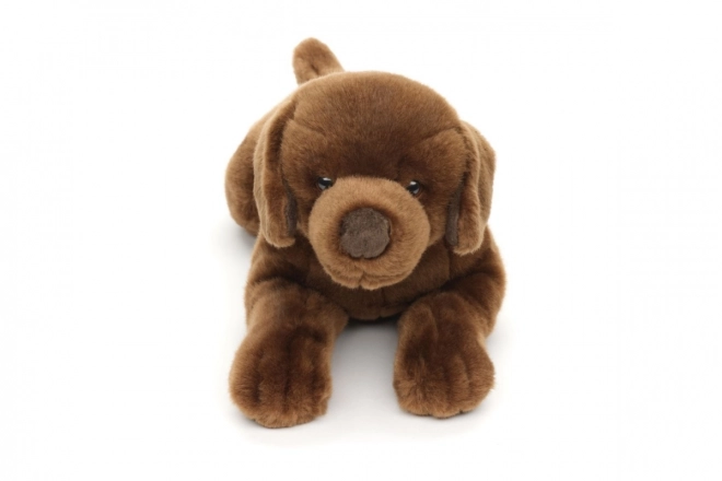 Plyszowy labrador 40 cm PRZYJAZNY DLA ŚRODOWISKA