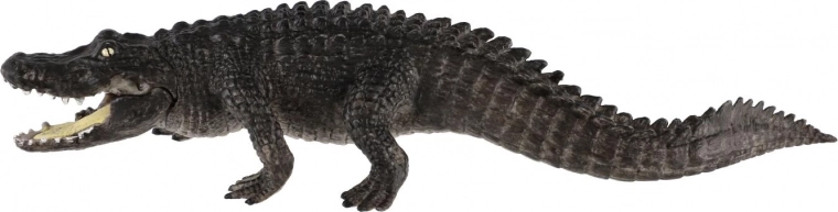 Idealna do edukacji i kolekcjonowania