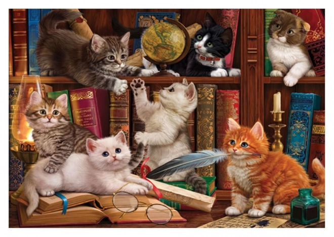 Puzzle Kotki w bibliotece 500 kawałków