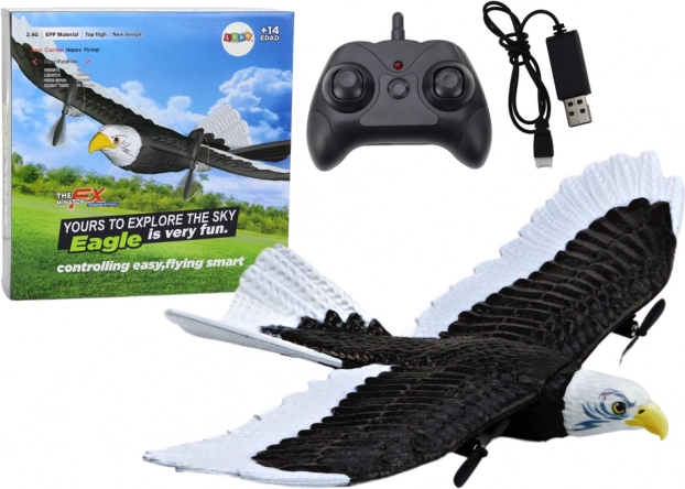 Samolot Eagle Bird zdalnie sterowany RC 2.4G 41 cm x 28 cm x 5 cm