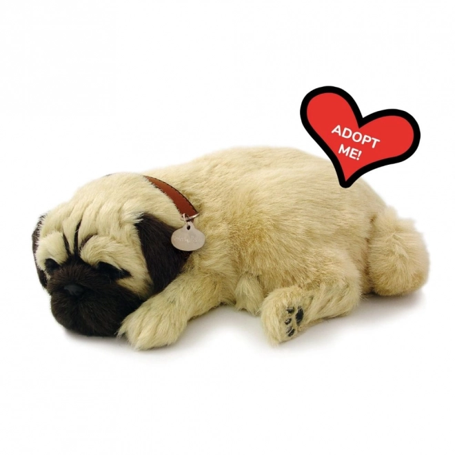 Oddychający szczeniaczek mops Perfect Petzzz