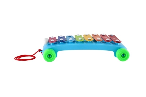 Ksylophon plastikowy/metalowy 24 cm z pałeczkami 2 kolory w woreczku 19x31x6 cm
