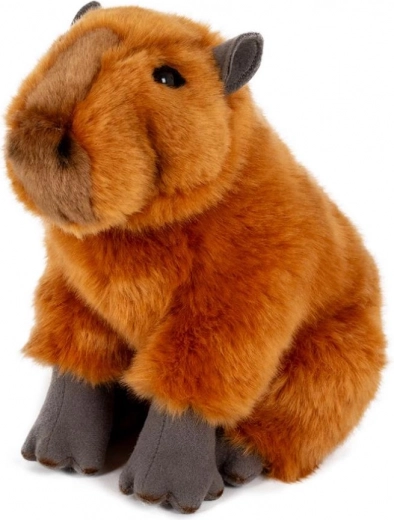 Miękka i przytulna na każdy dzień