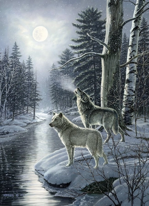 Puzzle Wilki o północy 1000 elementów