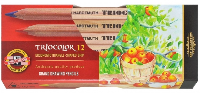 KOH-I-NOOR Trójkątne kredki Triocolor 3152 - 12 sztuk