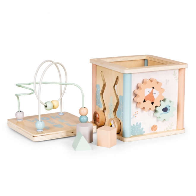 Drewniane edukacyjne klocki Ecotoys