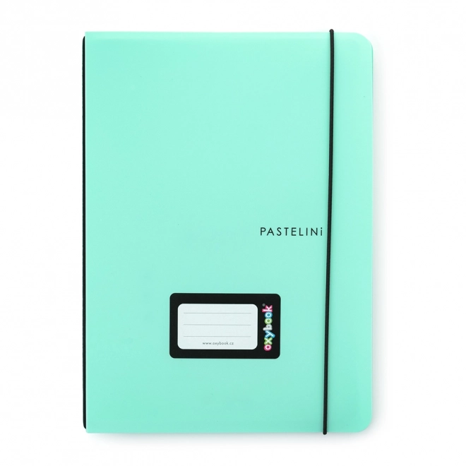 Zeszyt Oxybook A5 40 kartek pastelowy zielony