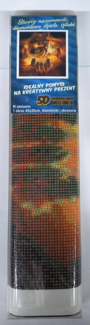 Malowanie diamentowe Łapacz snów z wilkami 30x40 cm