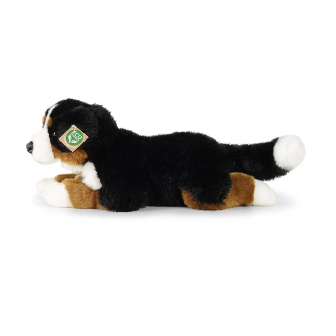 Pluszowy berneński pies pasterski leżący 44 cm ECO-FRIENDLY