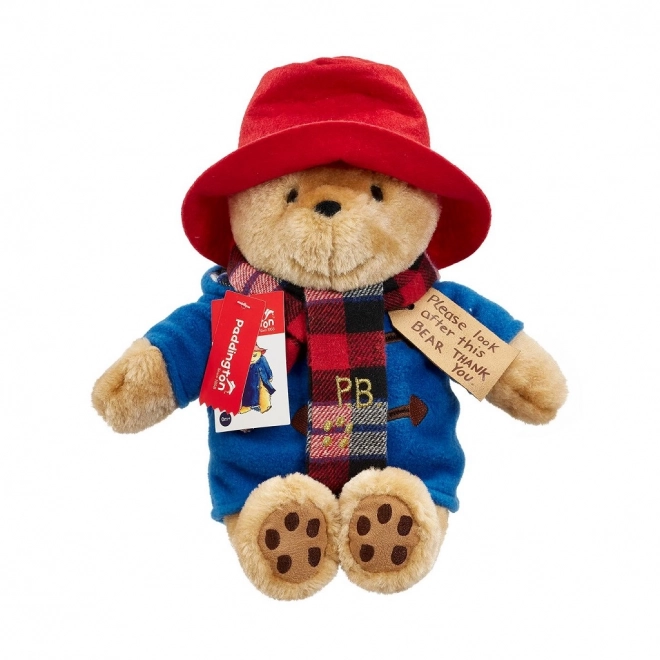 Tęczowy Pluszowy Paddington z szalikiem duży