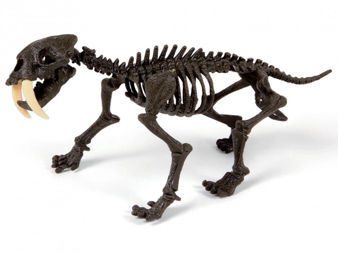 Clementoni Smilodon - Składana struktura szablozębnego tygrysa
