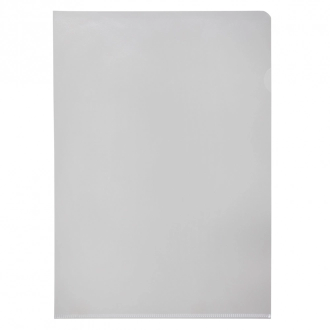 Przezroczysta obudowa A4 L PVC przezroczysta