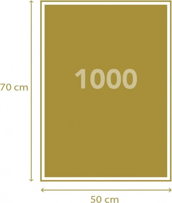 Układanka z 1000 elementami Życie Einsteina