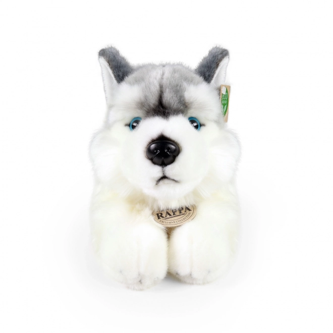 Rappa Pluszowy pies husky leżący 30 cm