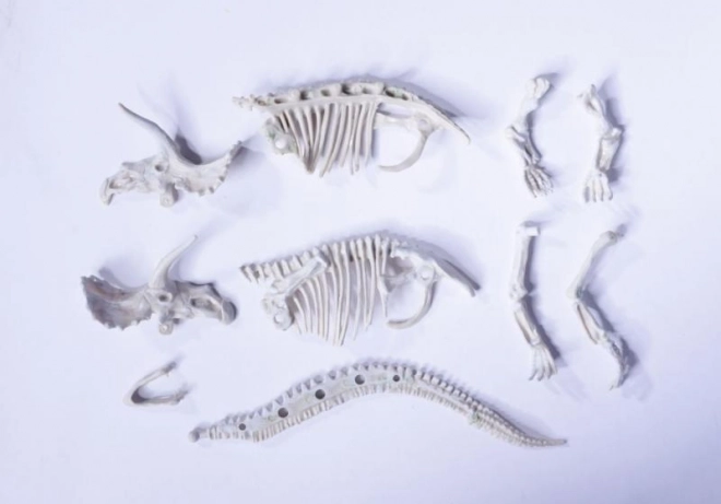 Zestaw do wykopywania i składania szkieletów dinozaurów