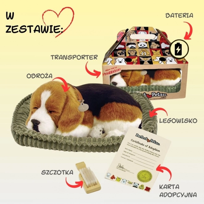 Oddychające szczeniaczko Beagle Perfect Petzzz