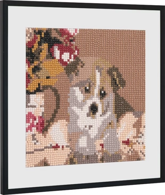 GRAFIX Malowanie Diamentowe Słodki Szczeniak 20x20cm