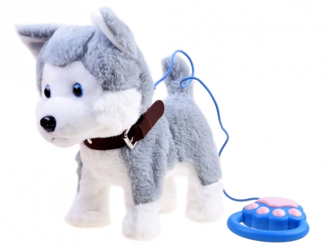 Interaktywny piesek Husky na smyczy