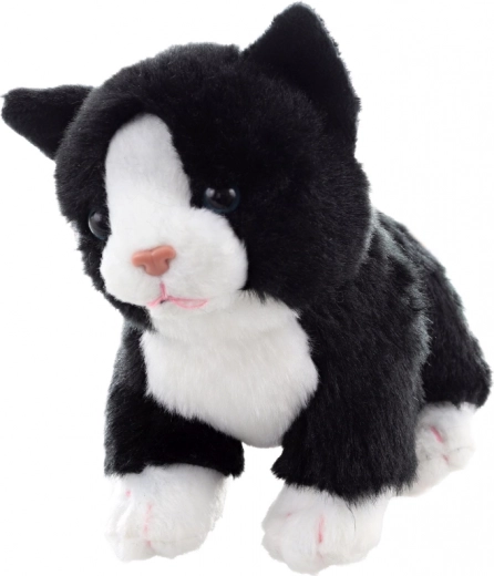 Stojąca postawa do zabawy i na półkę