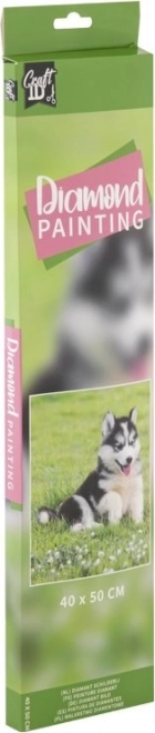 GRAFIX Malowanie Diamentowe Husky 40x50cm