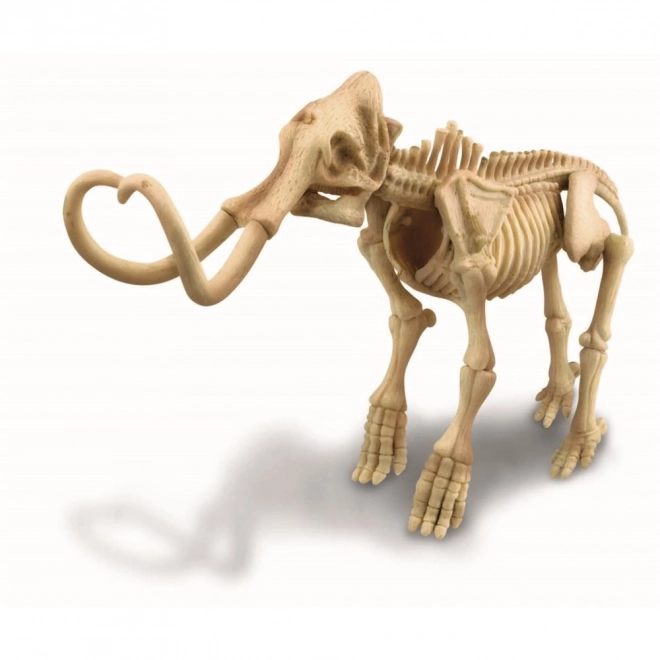 Wykopaliska - Mamut