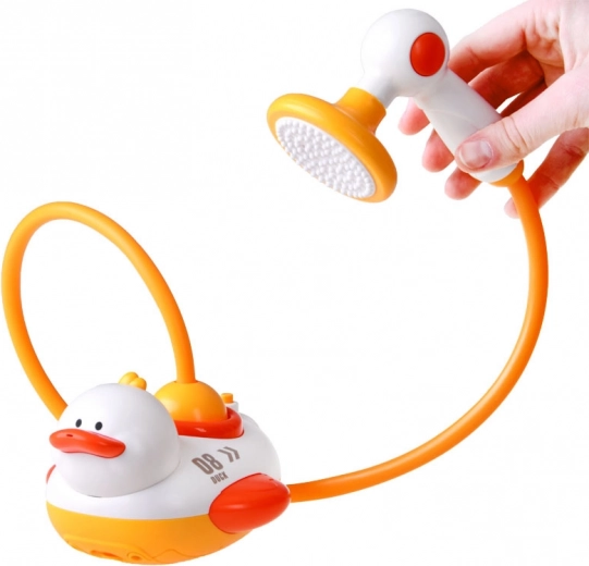 Ręczny prysznic z wymiennymi głowicami