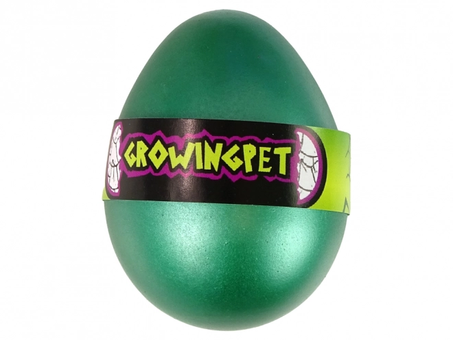 Jajko czarnej żółwia Magic Turtle Egg Growing 6 cm