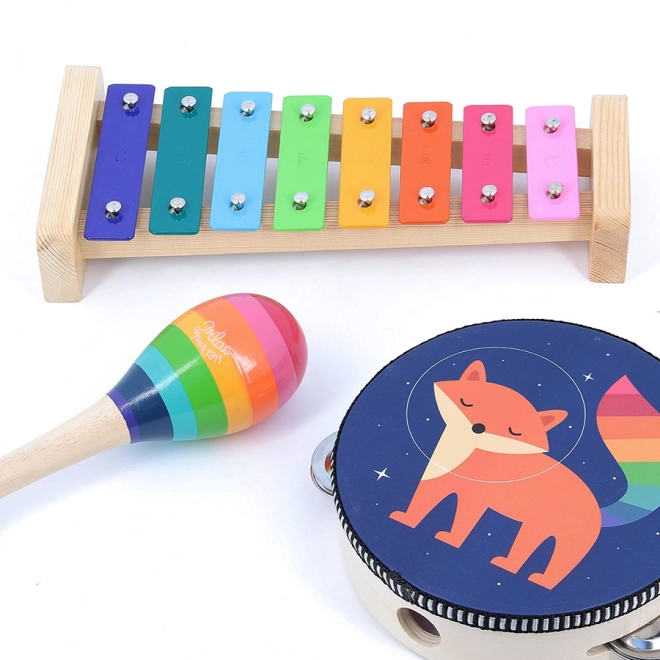 Kompletny zestaw instrumentów