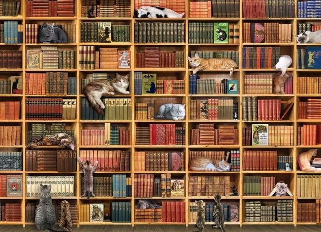 Puzzle Kotowa Biblioteczka 1000 części