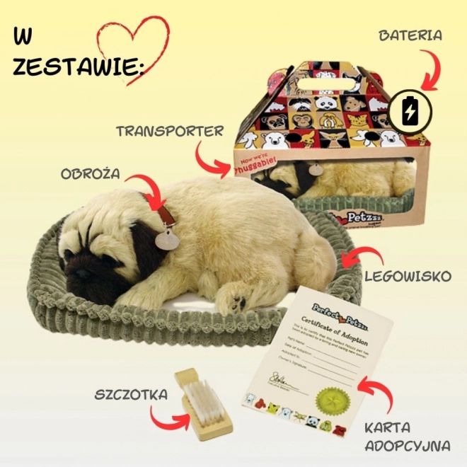 Oddychający szczeniaczek mops Perfect Petzzz