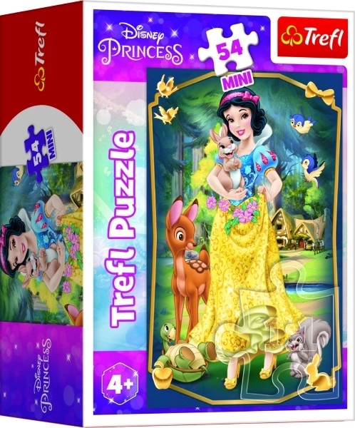 Minipuzzle Piękne Księżniczki/Disney Princess 54 elementów