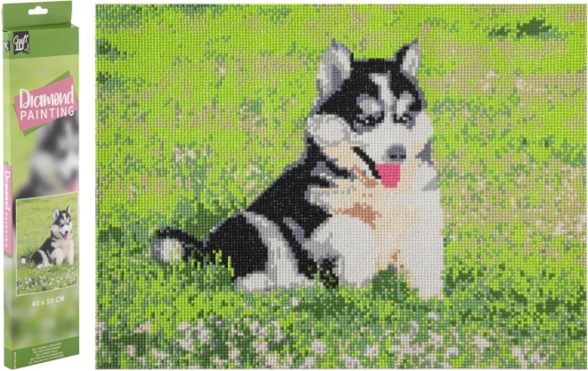 GRAFIX Malowanie Diamentowe Husky 40x50cm