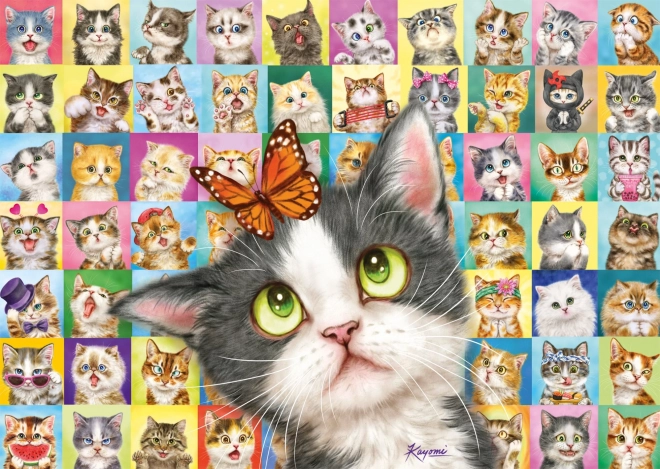 Puzzle SCHMIDT – kocie miny, 1000 elementów