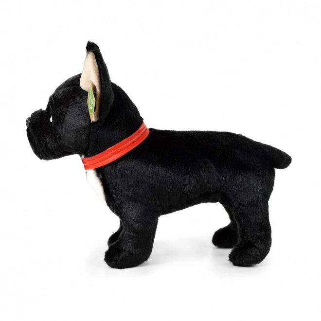 Pluszowy francuski buldog czarny z obrożą stojący 30 cm ECO-FRIENDLY