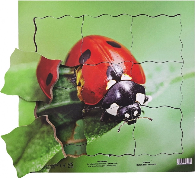 Just Jigsaws Drewniane warstwowe puzzle Biedronka i jej cykl życiowy 19 elementów