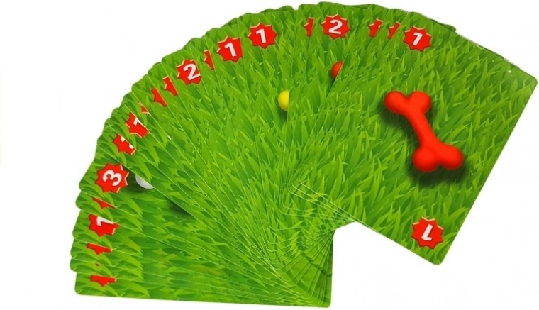 Karty do różnych wariantów gry