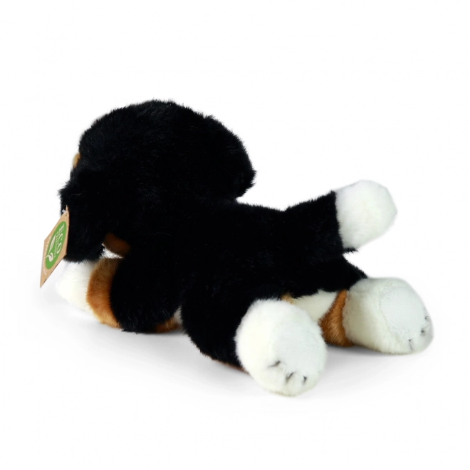 Leżący bernardyn 20 cm EKOLOGICZNY