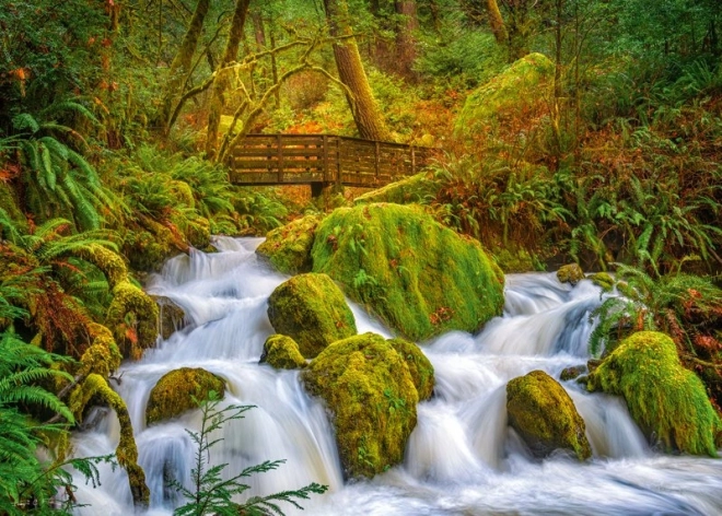 Puzzle Leśny Wodospad 1000 Części
