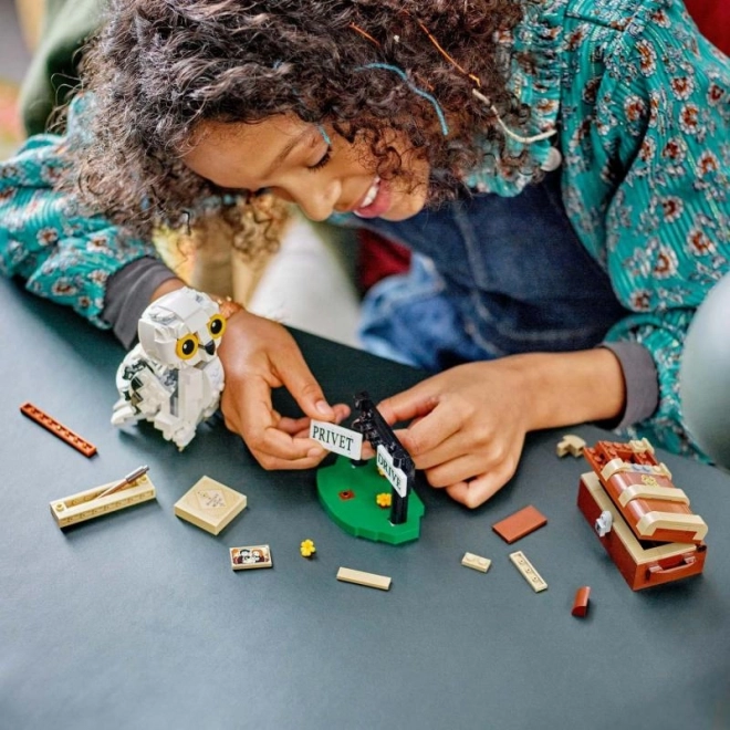 LEGO Harry Potter Hedwig na Privet Drive