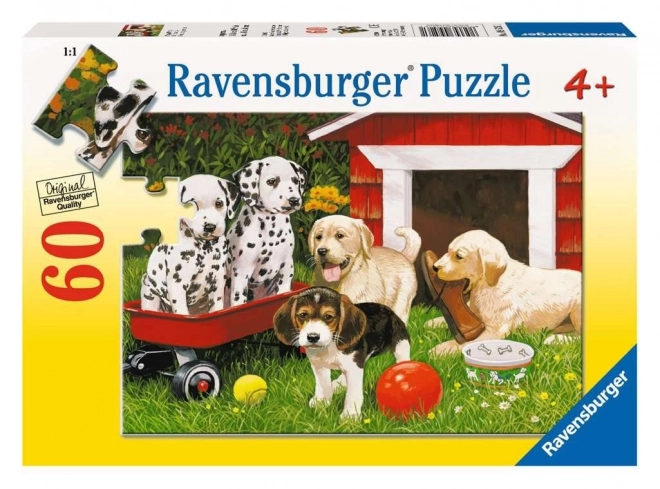 Puzzle Ravensburger Impreza Szczeniąt 60 elementów