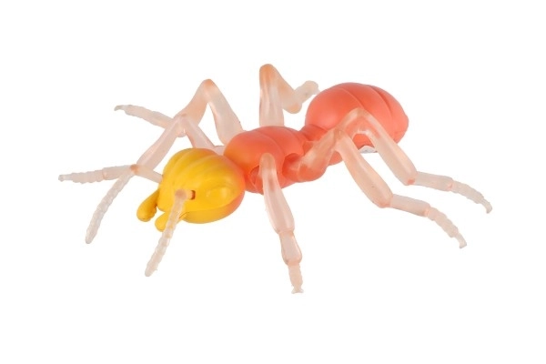 Antystresowa Mrówka