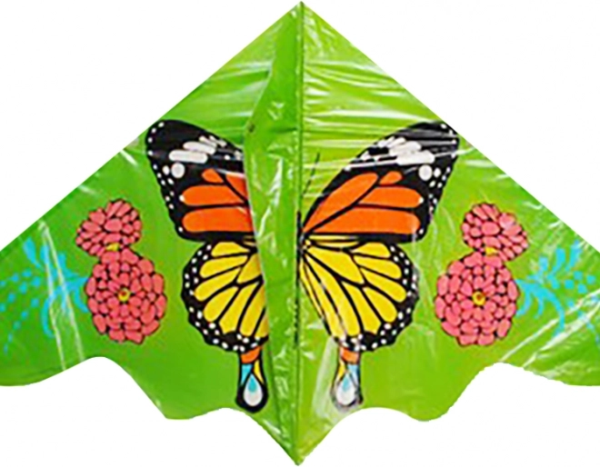 Latawiec motyl