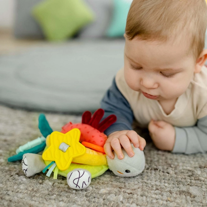 Aktywności żółw, DoBabyDoo