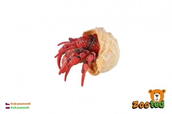 Krab pustelnik zooted plastikowy 7cm w woreczku