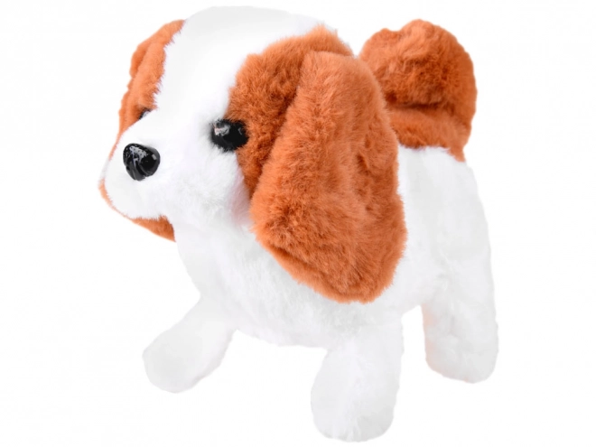 Interaktywny piesek Beagle z wyposażeniem