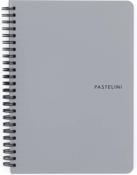 notes w kółkach A5 Pastelini szary